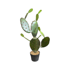 Kunstpflanze Kaktus S 1